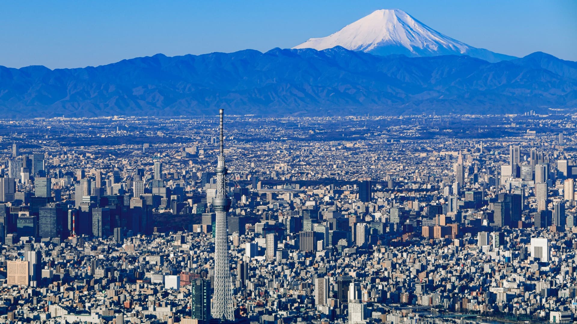 Tokyo Skytree Observation Deck Ticket - image 3